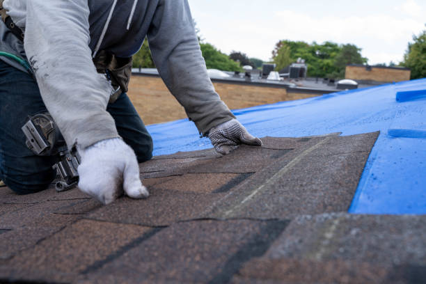 Best Storm Damage Roof Repair  in Fairfield Glade, TN